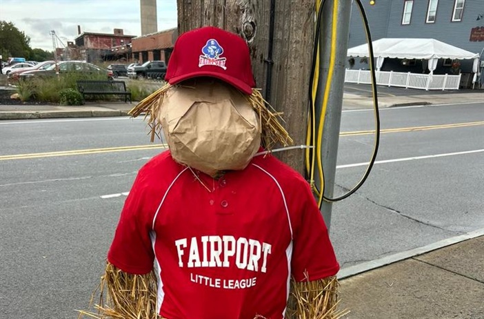 Great job Fairport Little League!! 👏🏻